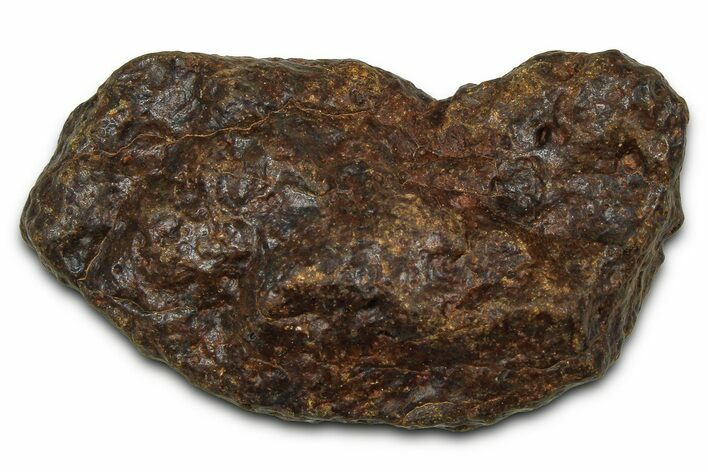 Chondrite Meteorite ( g) - Western Sahara Desert #371268